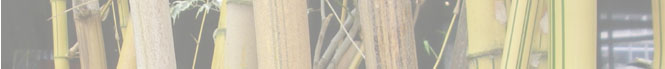 Discounts in Virgil, ON